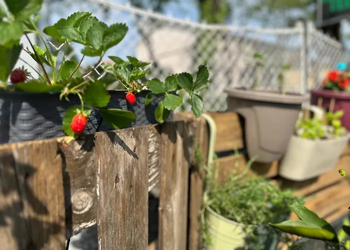 Hostal Das Hostel Rijeka