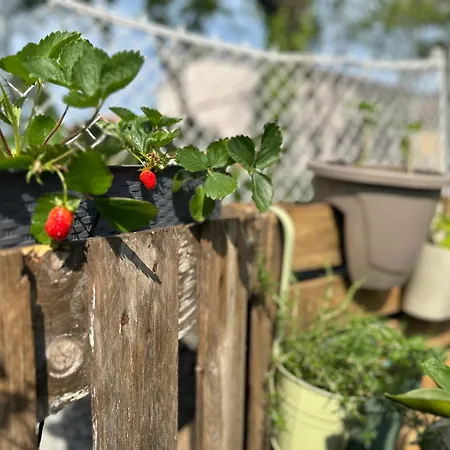 אכסניה Das Hostel Rijeka